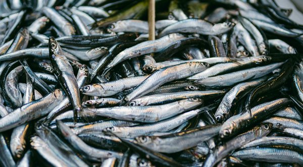 Les effets du vieillissement sur le sommeil