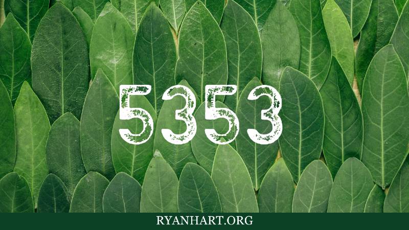  Angelų skaičius 5353: 3 dvasinės 5353 matymo reikšmės