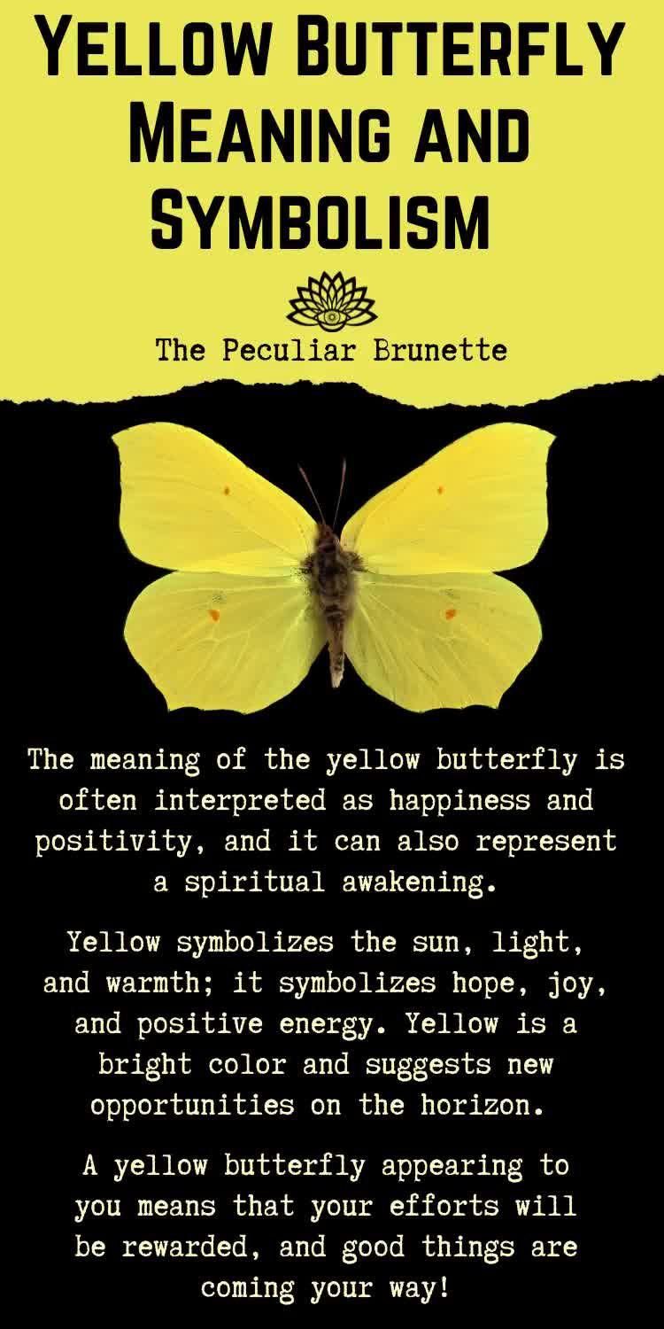  Mariposa Amarilla Significado &amp; Simbolismo Espiritual